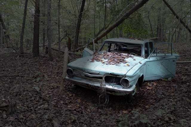 Can Leaves Damage Car Paint