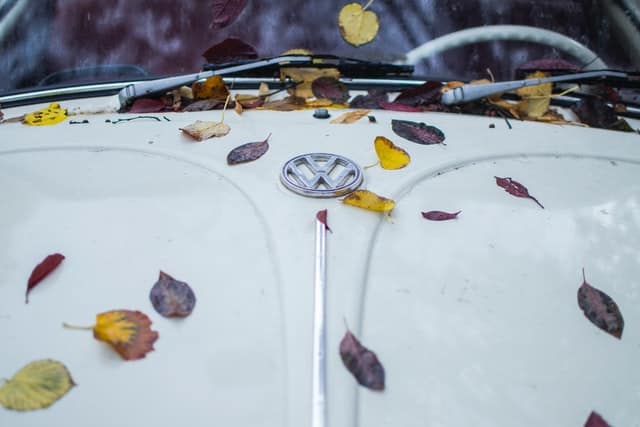 How To Remove Leaf Stains From Car Paint