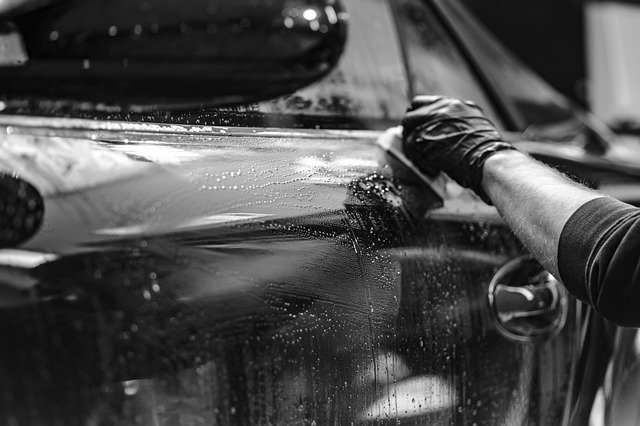 Repairing Car Paint With Bird Poop Damage