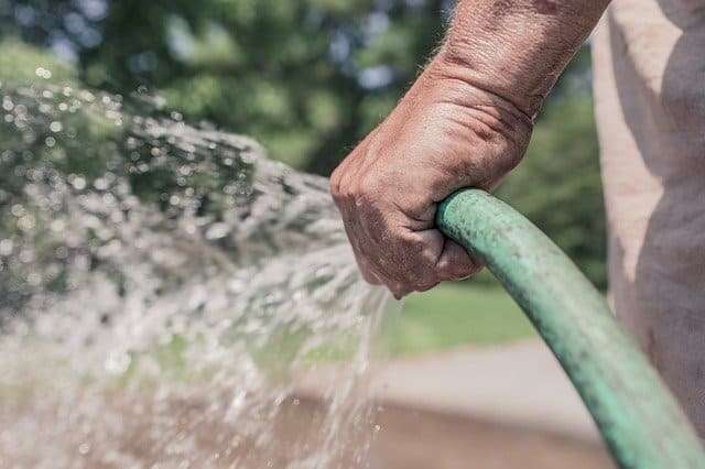 Wash Your Yard Regularly