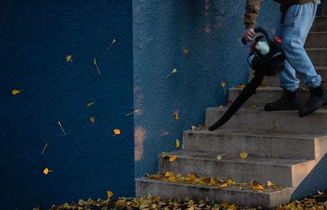 Tips For Using A Leaf Blower To Dry Your Car