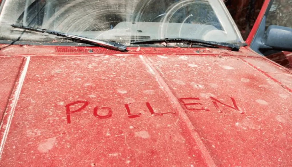 Pollen On Car