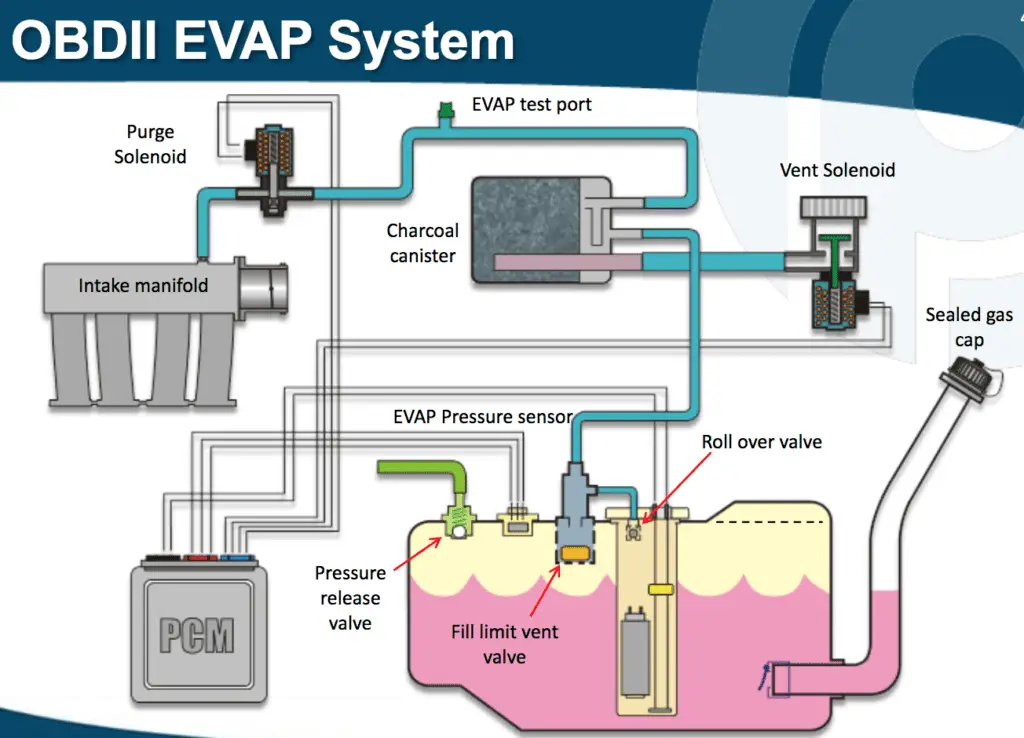 Evap System Diagram