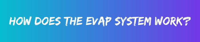 how does the evap system work header image